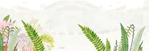 篮球艰苦训练的句子简短英语_2